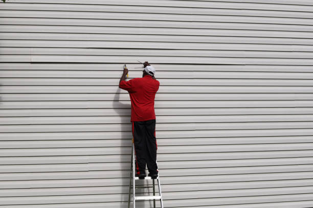 Best Insulated Siding Installation  in Worthington Hills, KY